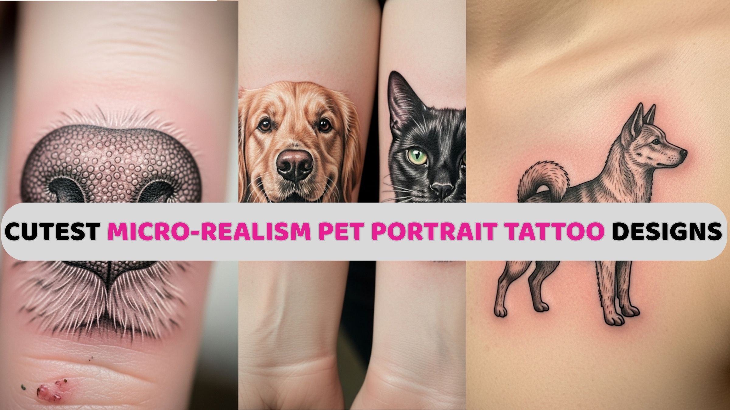 15 Micro-Realism Pet Portrait Tattoo Designs That Keep Love Tiny and Timeless